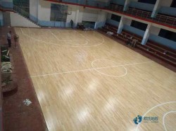 楓木體育籃球木地板需要多少錢