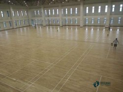 常用運動木地板環保